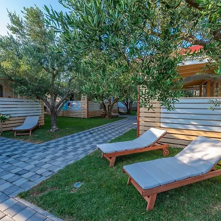 אתר קמפינג Camp Bepo