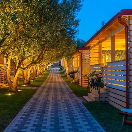 Camp Bepo אתר קמפינג