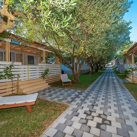 Camp Bepo אתר קמפינג